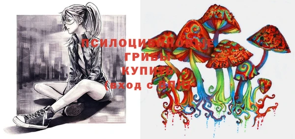 дурь Абинск