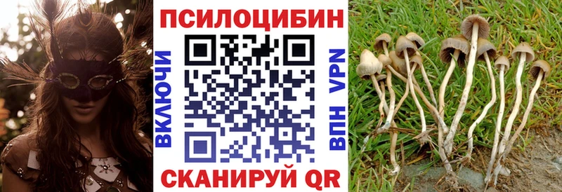 Псилоцибиновые грибы Magic Shrooms Алагир